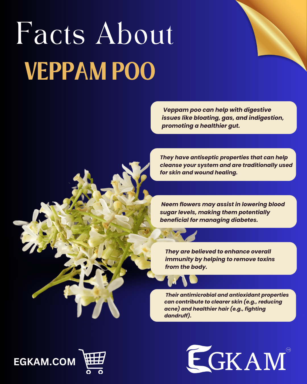 VEPPAM POO (or) NEEM FLOWER - Image 3