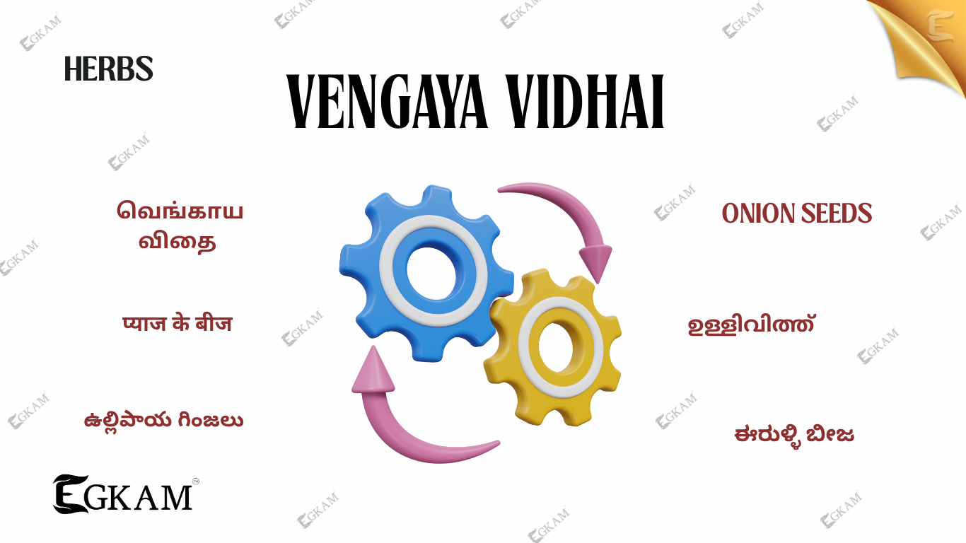 VENGAYA VIDHAI (or) ONION SEED
