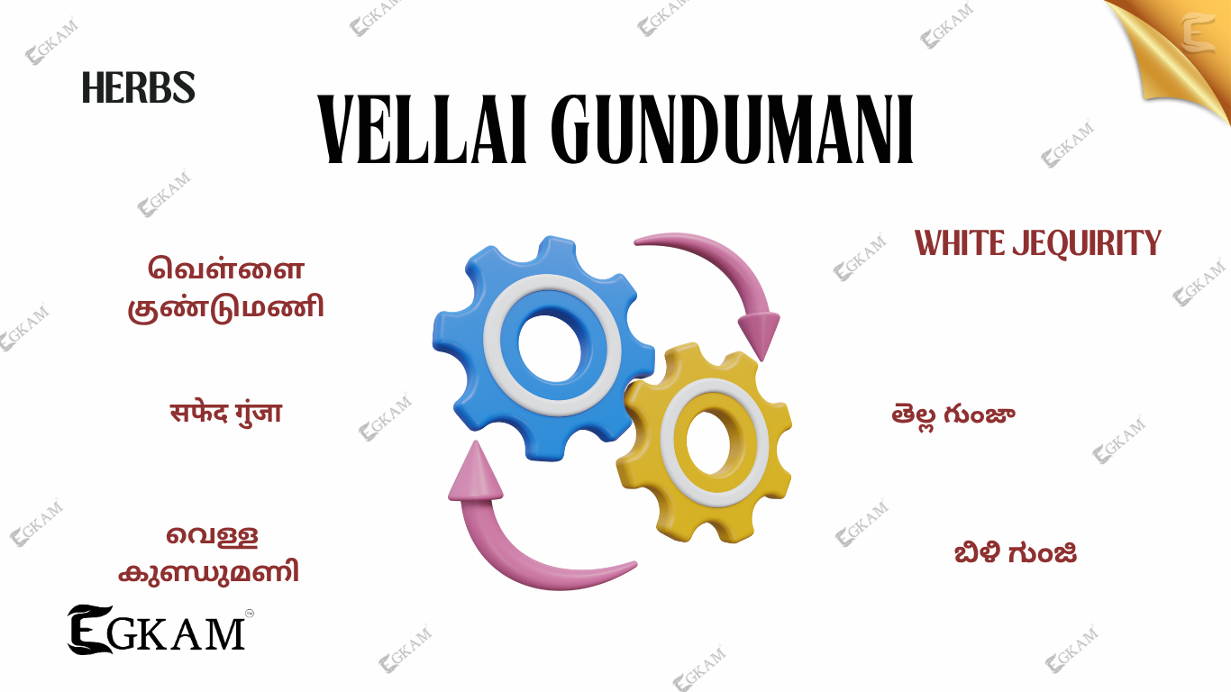 VELLAI GUNDU MANI /WHITE CORAL BEAD VINE
