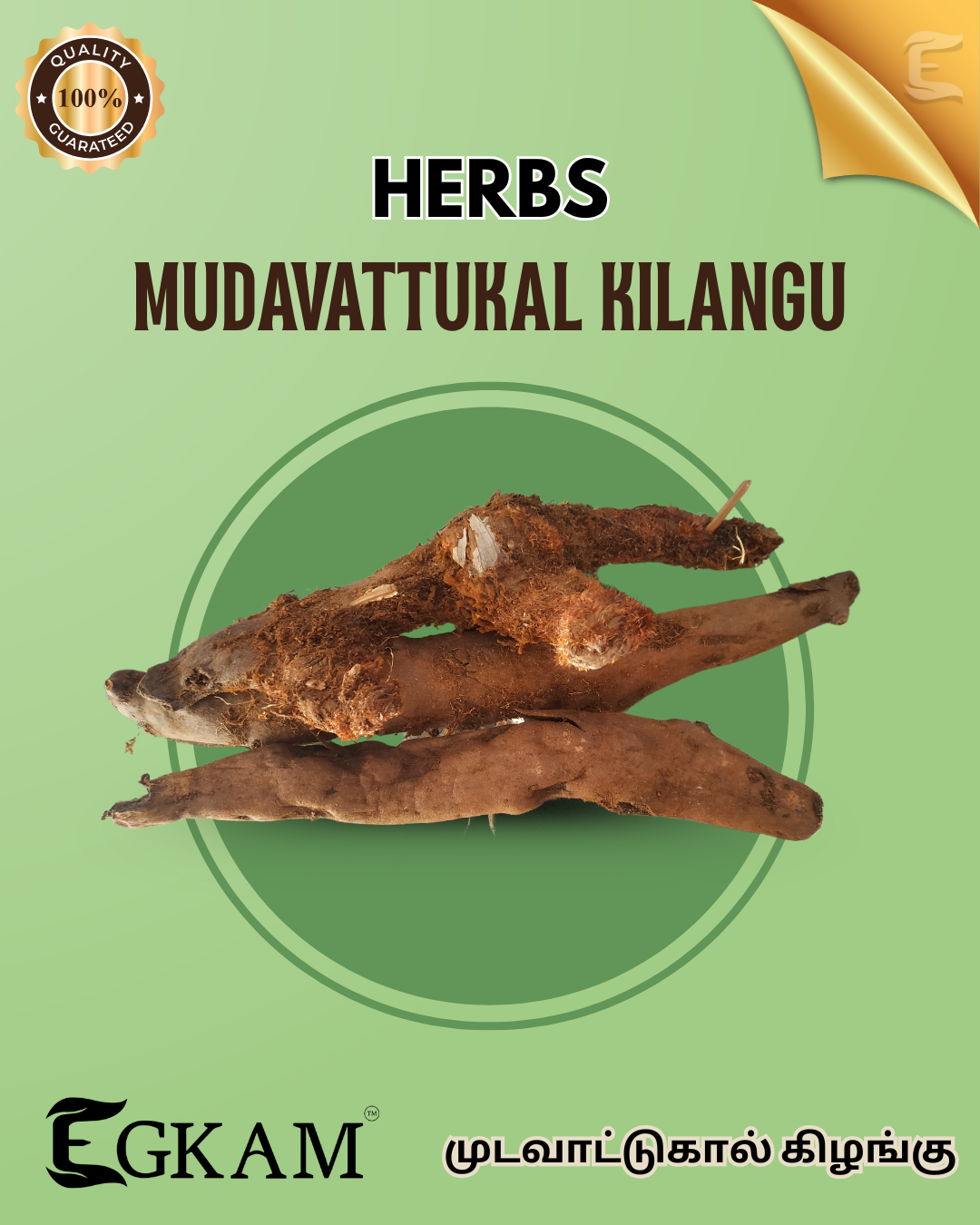 MUDAVATTUKAL KILANGU  - Image 2