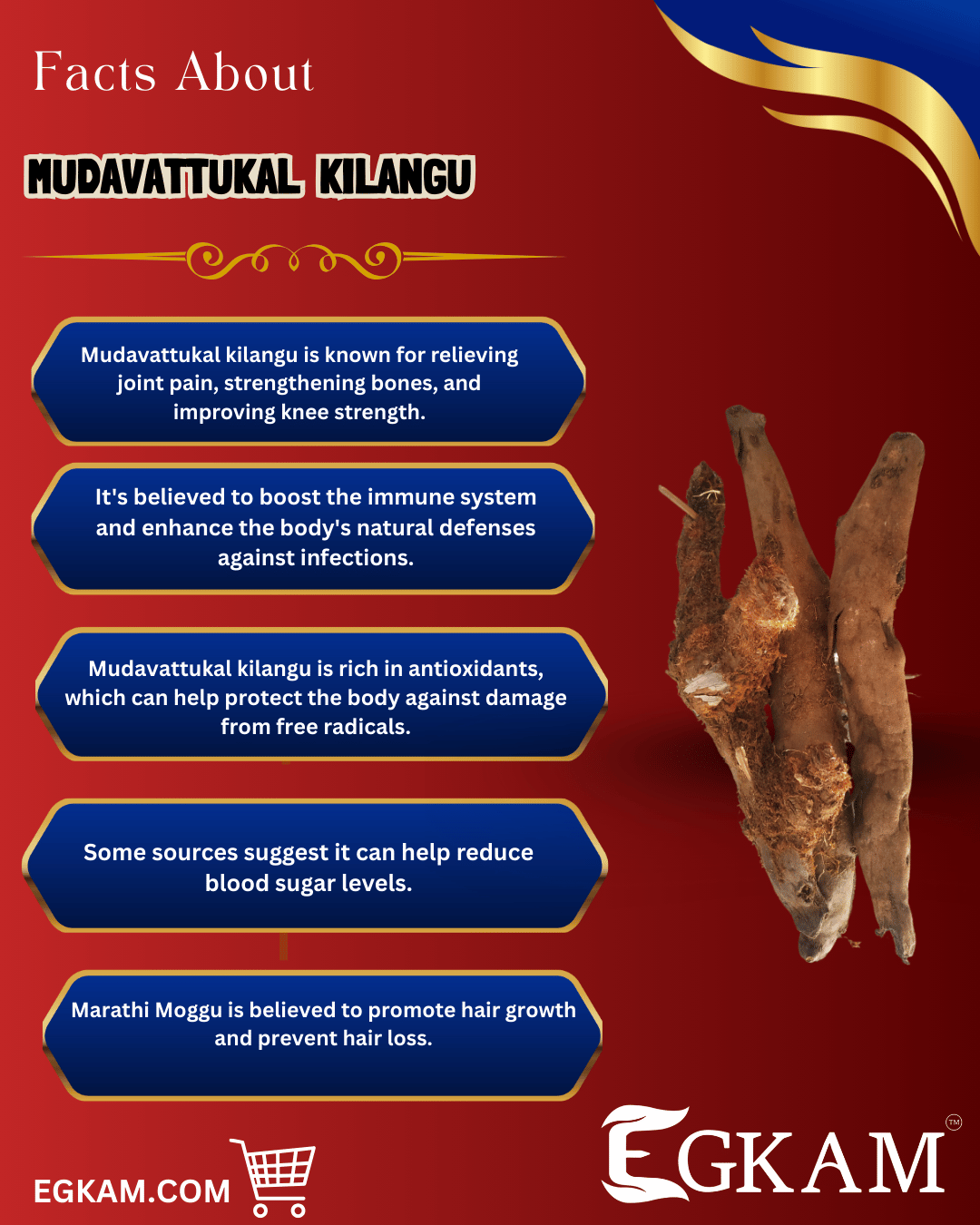 MUDAVATTUKAL KILANGU  - Image 3
