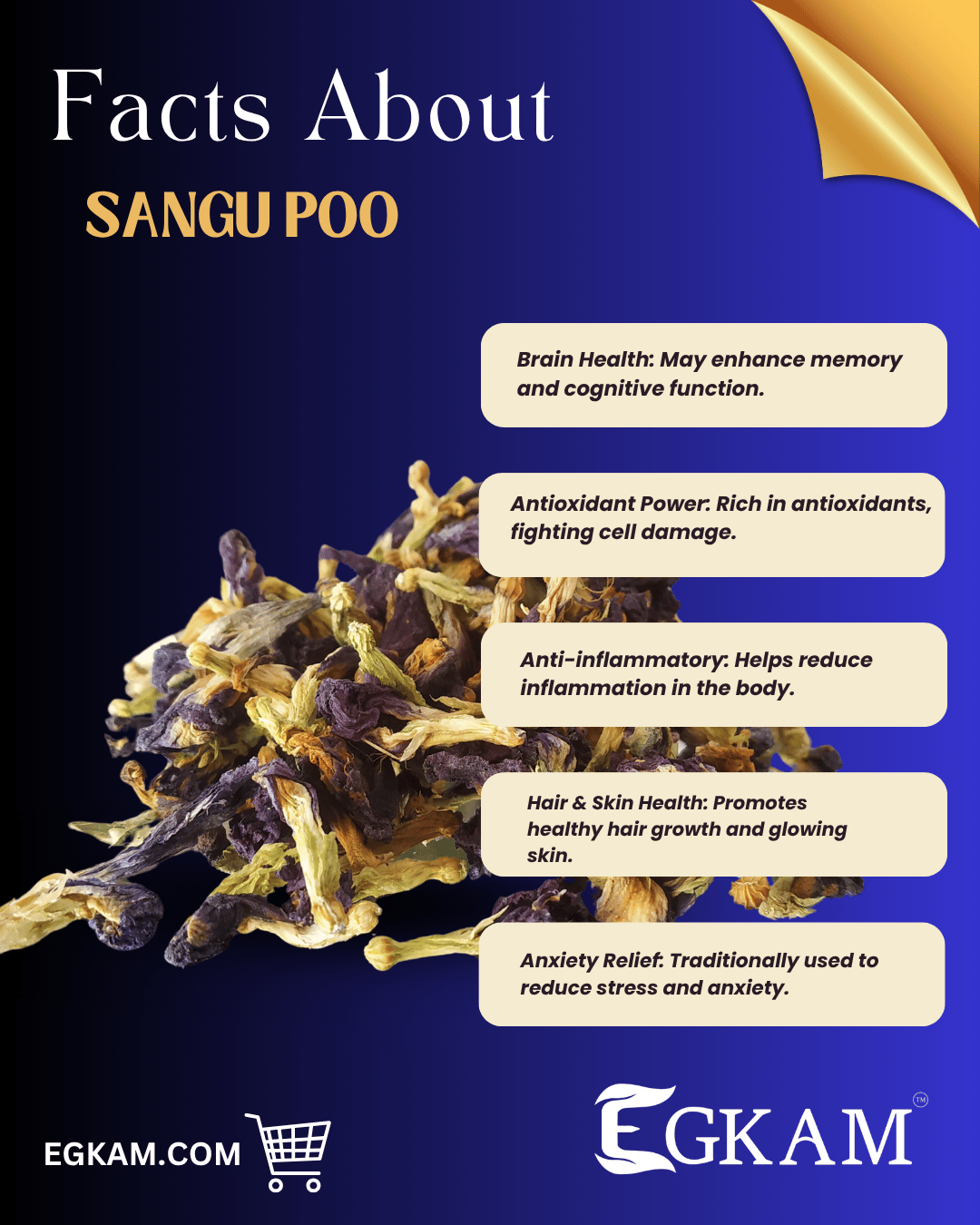 SANGU POO (OR) BUTTERFLY PEA FLOWER - Image 3