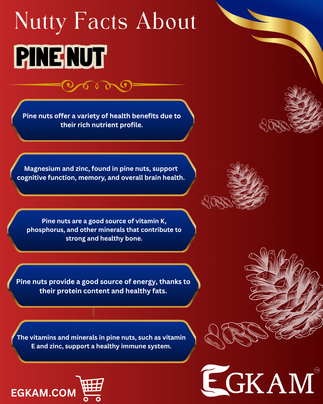 PINE NUT  - Image 3