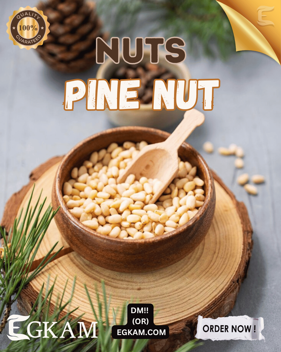 PINE NUT  - Image 4
