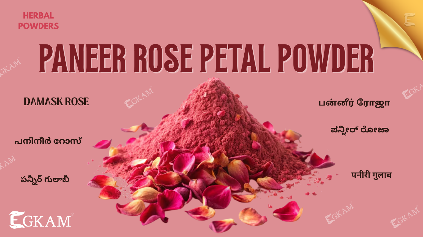 PANEER ROSE PETAL POWDER