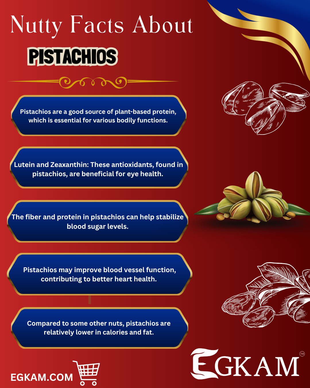 PISTA SHELLED [ROASTED AND SALTED]  - Image 3