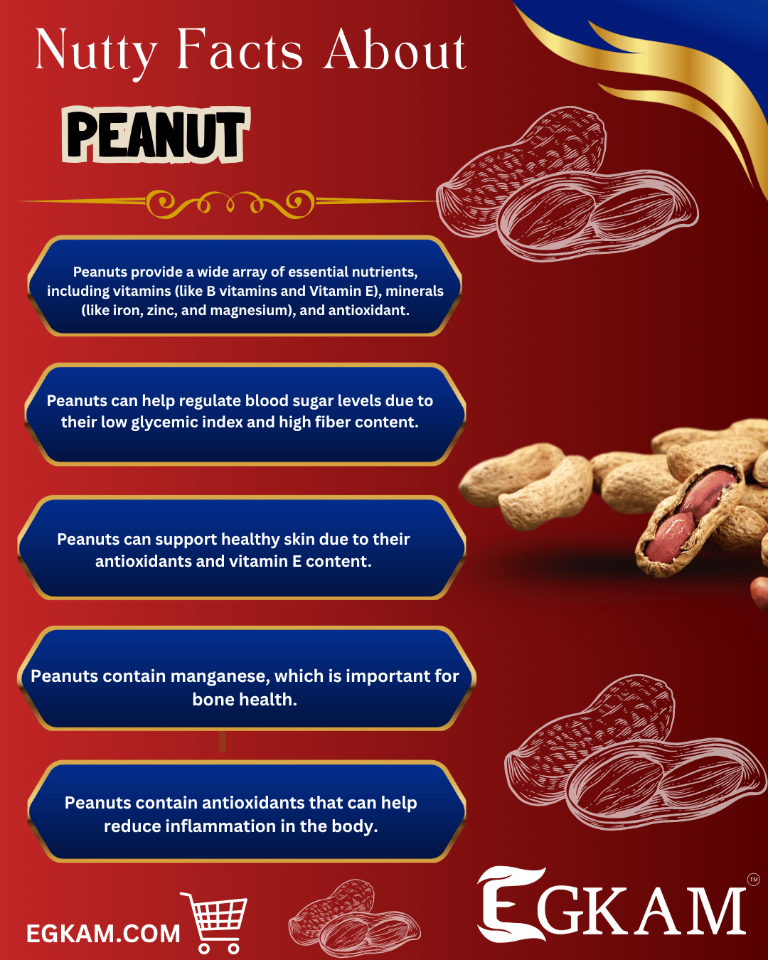 RAW PEANUT (OR) PACHA VER KADALAI - Image 3