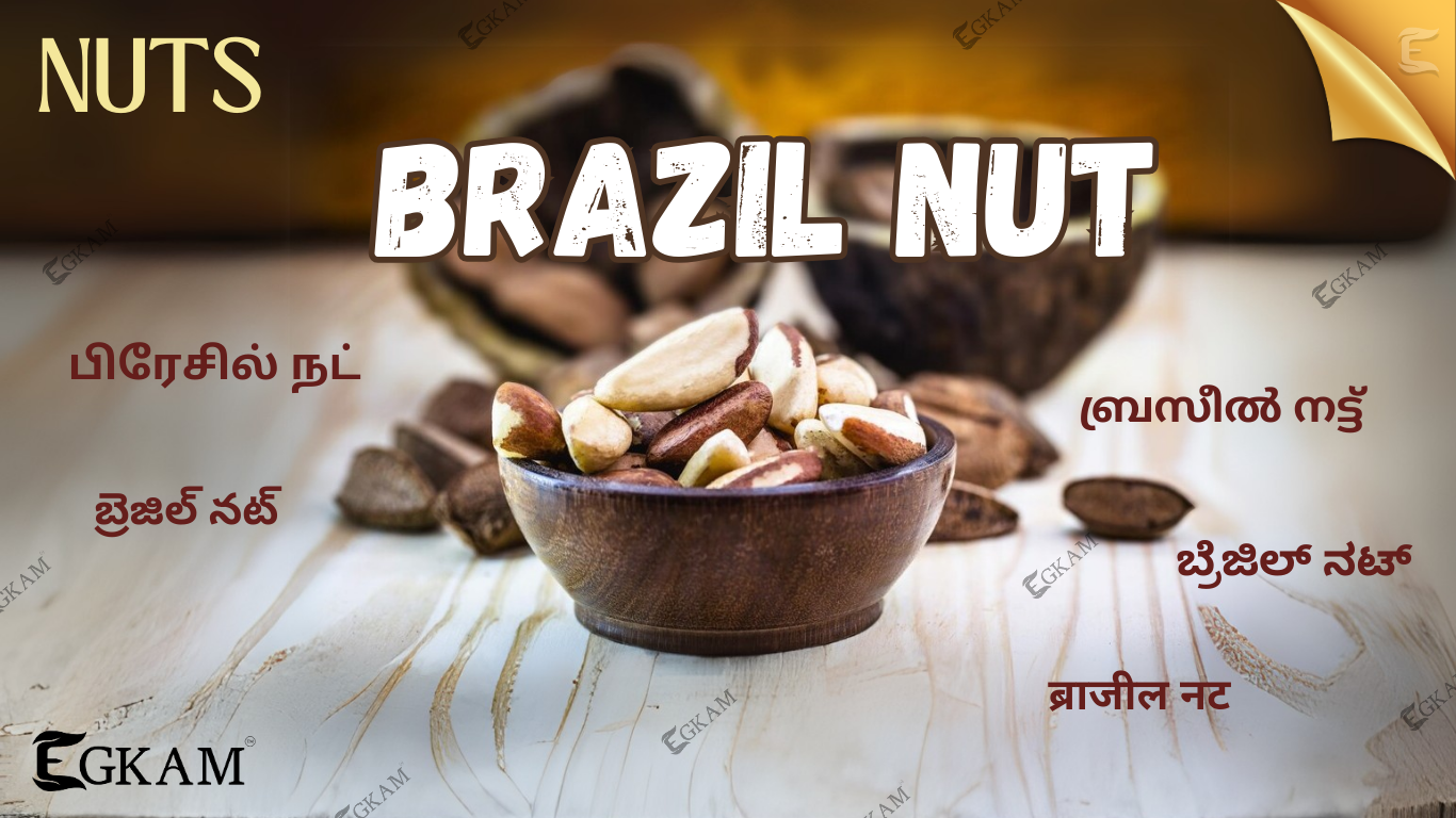BRAZIL NUT