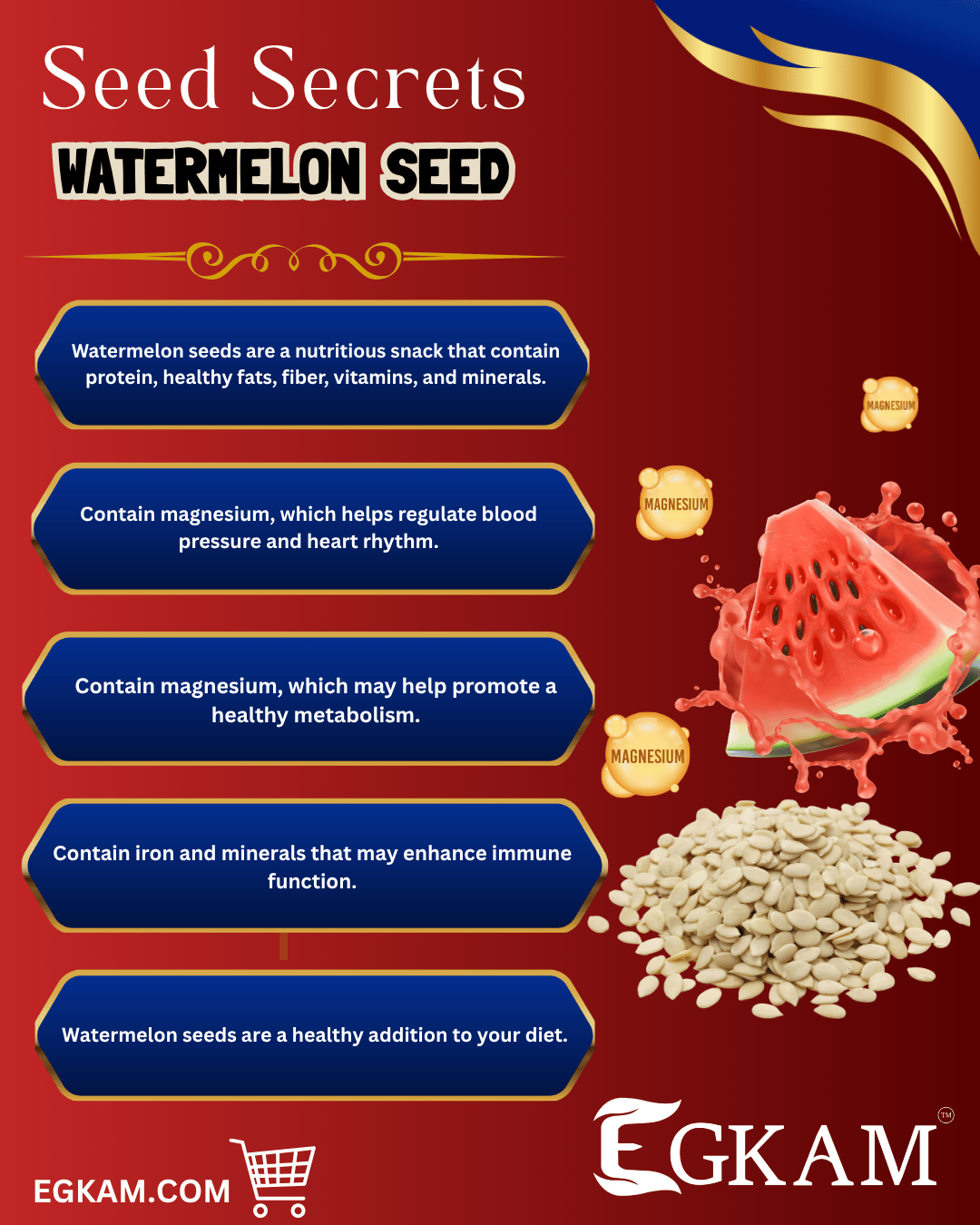 WATERMELON SEED - Image 3