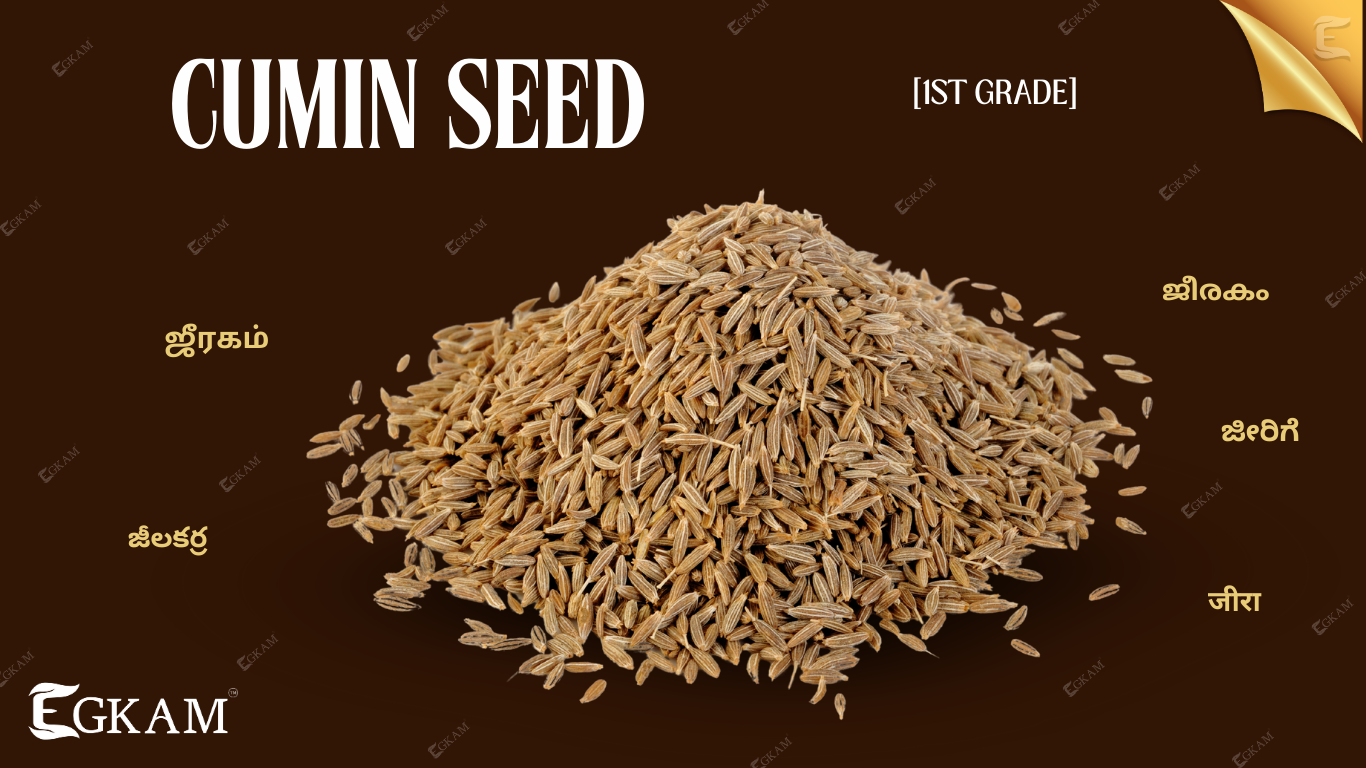 JEERAGAM (or) CUMIN