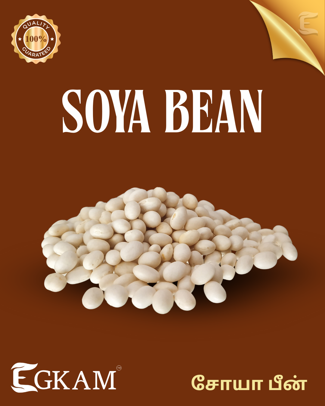 SOYA BEAN - Image 2