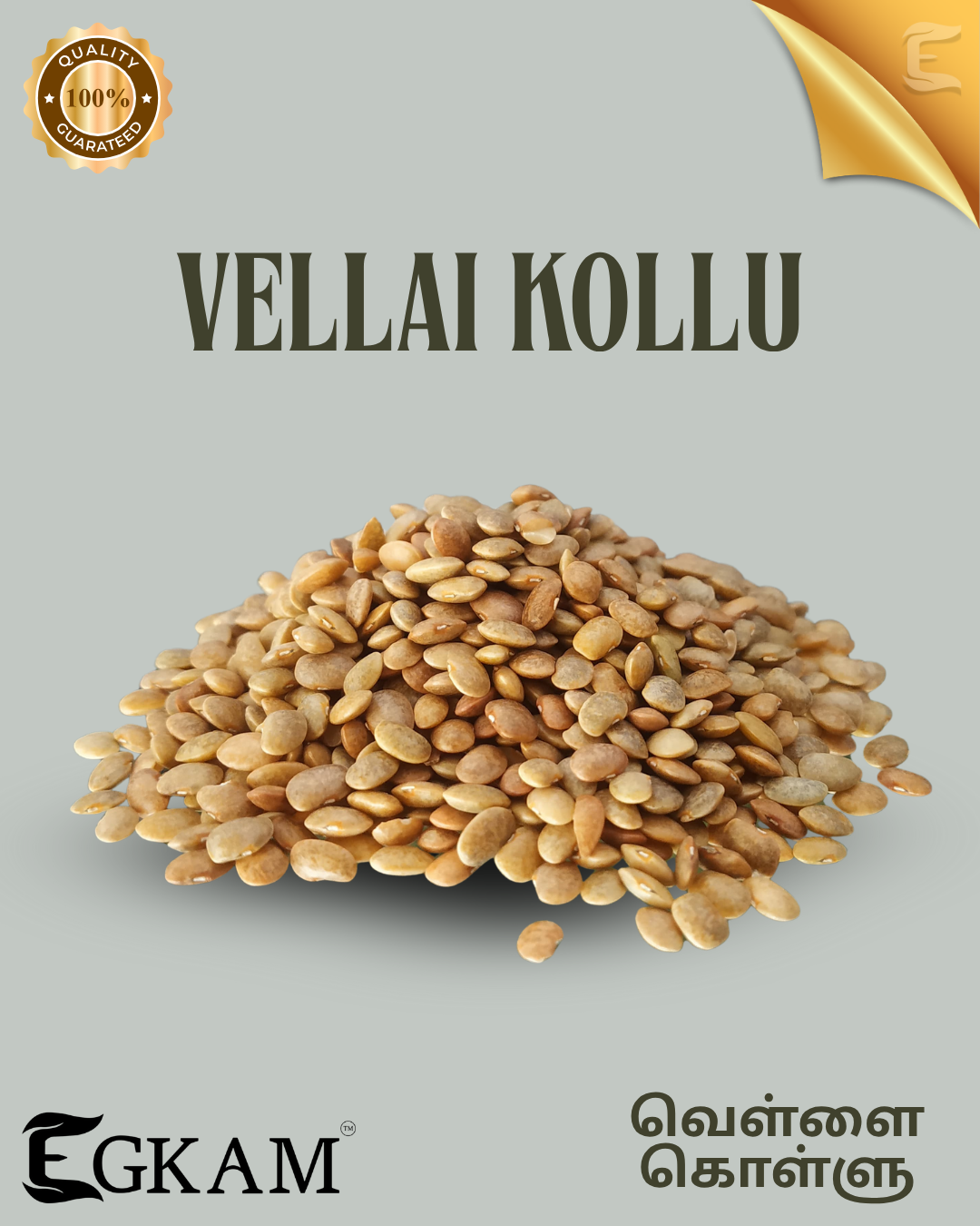 VELLAI KOLLU (or)  WHITE HORSEGRAM  - Image 2