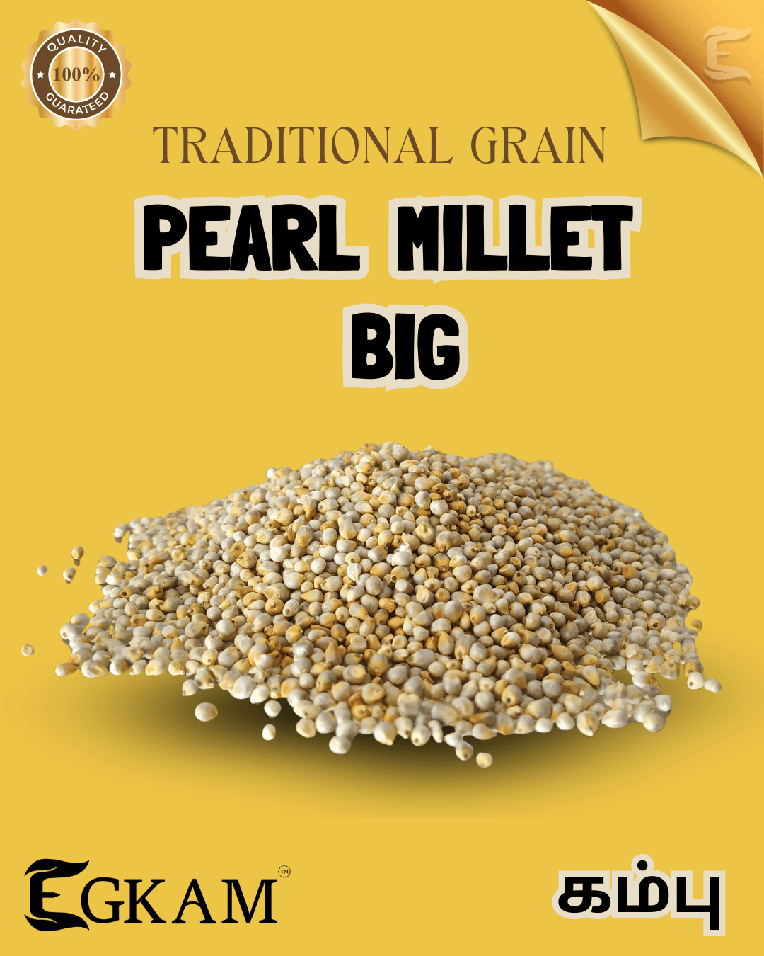 KAMBU (OR) PEARL MILLET  - Image 2