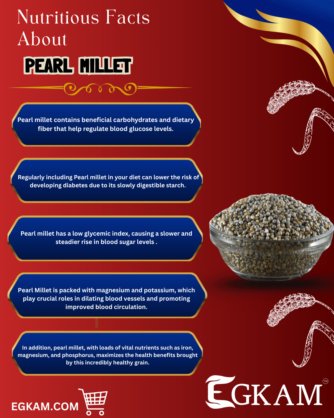 KAMBU (OR) PEARL MILLET  - Image 3