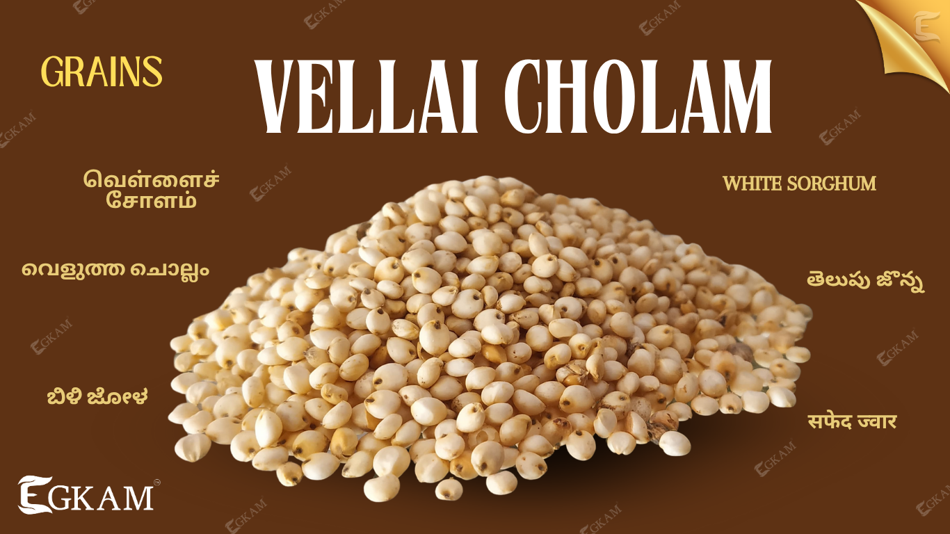 VELLAI CHOLLAM (OR) WHITE CORN