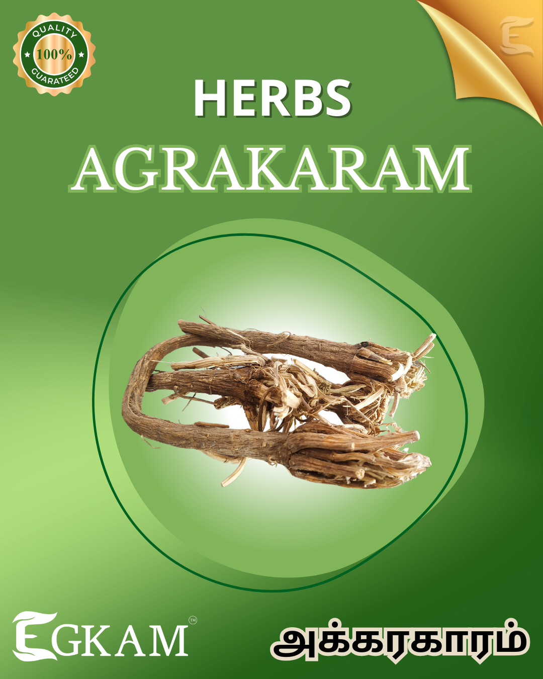 AGRAKARAM (OR) AGRA - Image 2