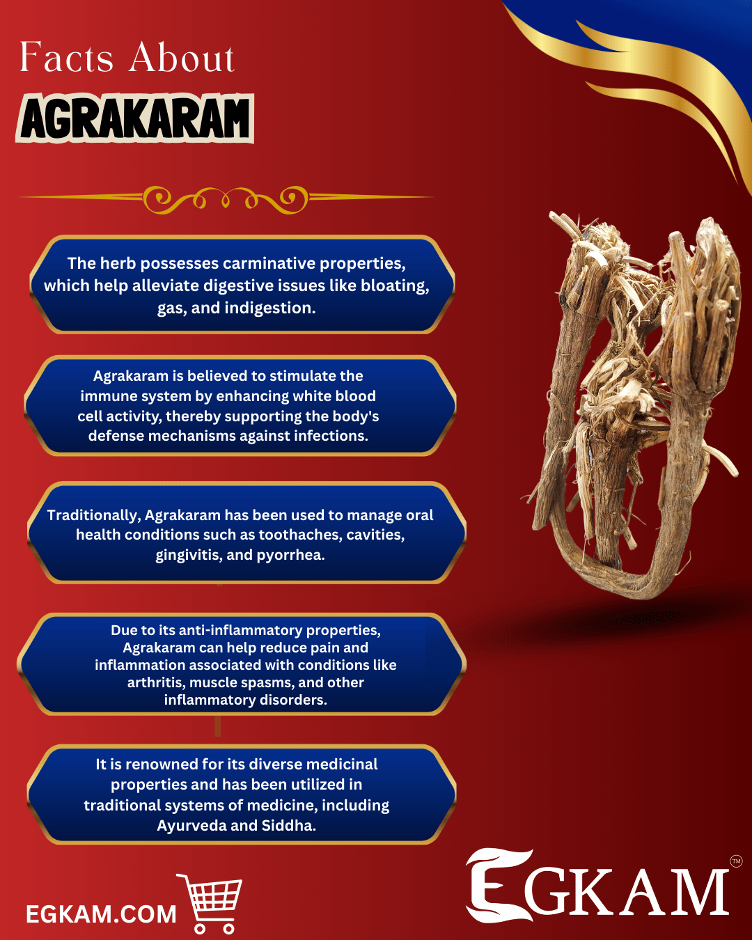 AGRAKARAM (OR) AGRA - Image 3