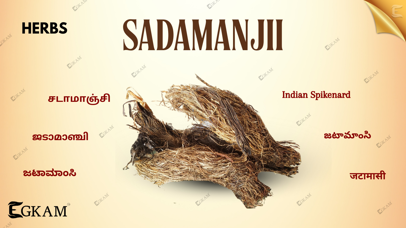 SADAMANJI