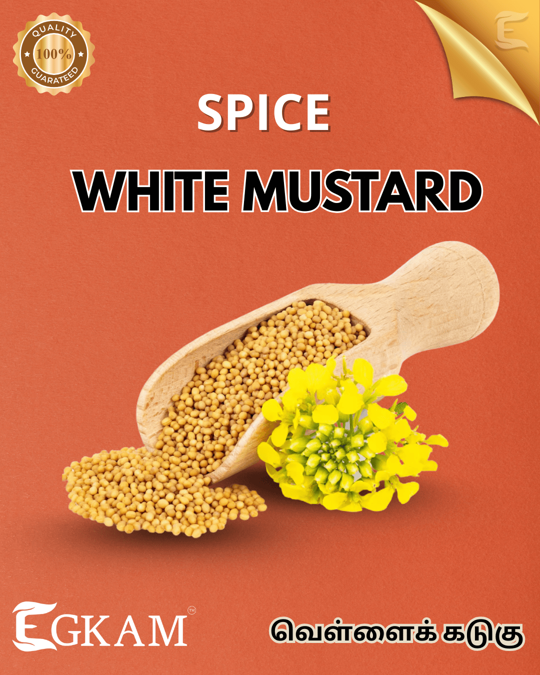 WHITE MUSTARD (or) VEN KADUKU  - Image 2