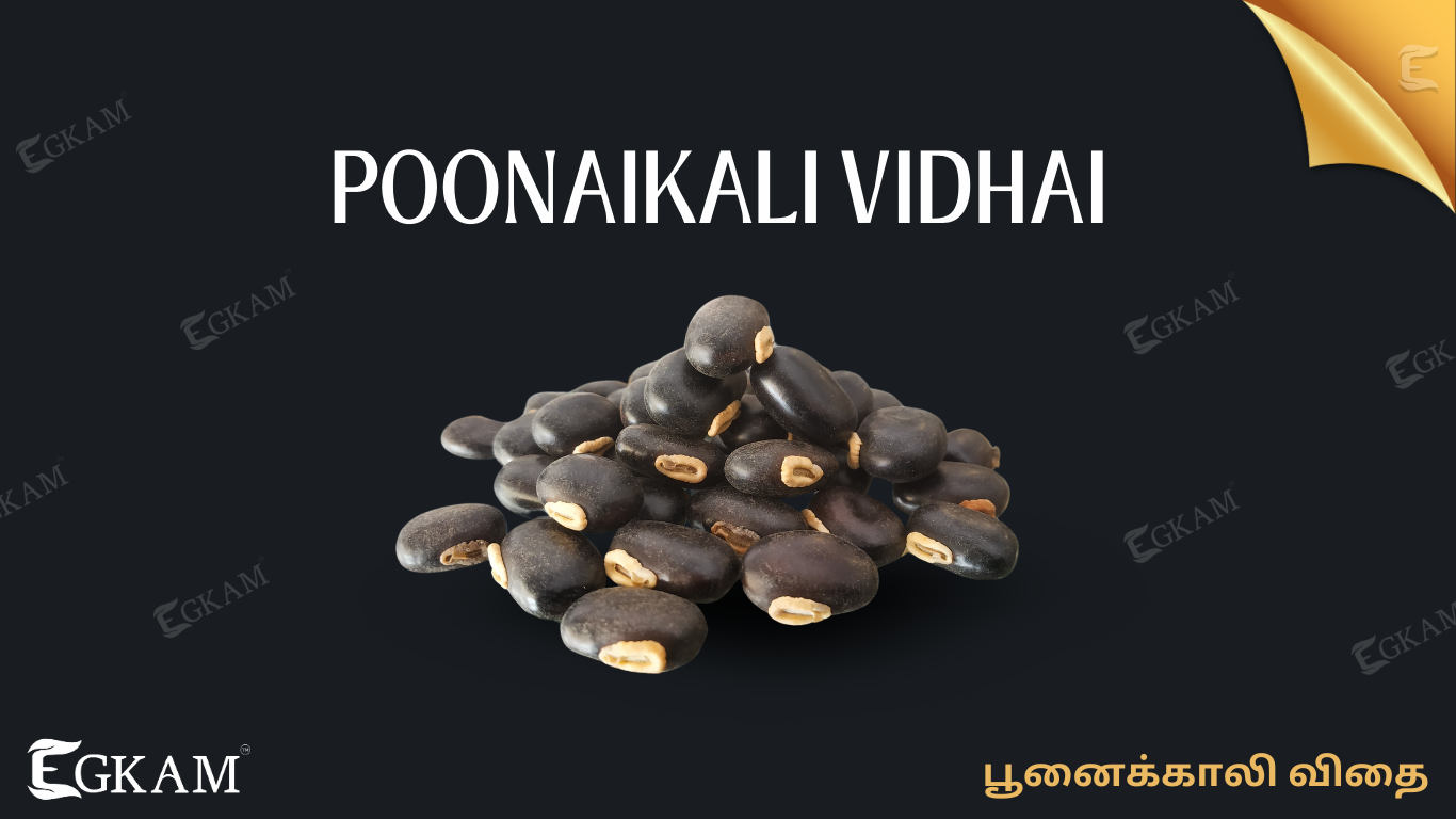 POONAIKALI VIDHAI