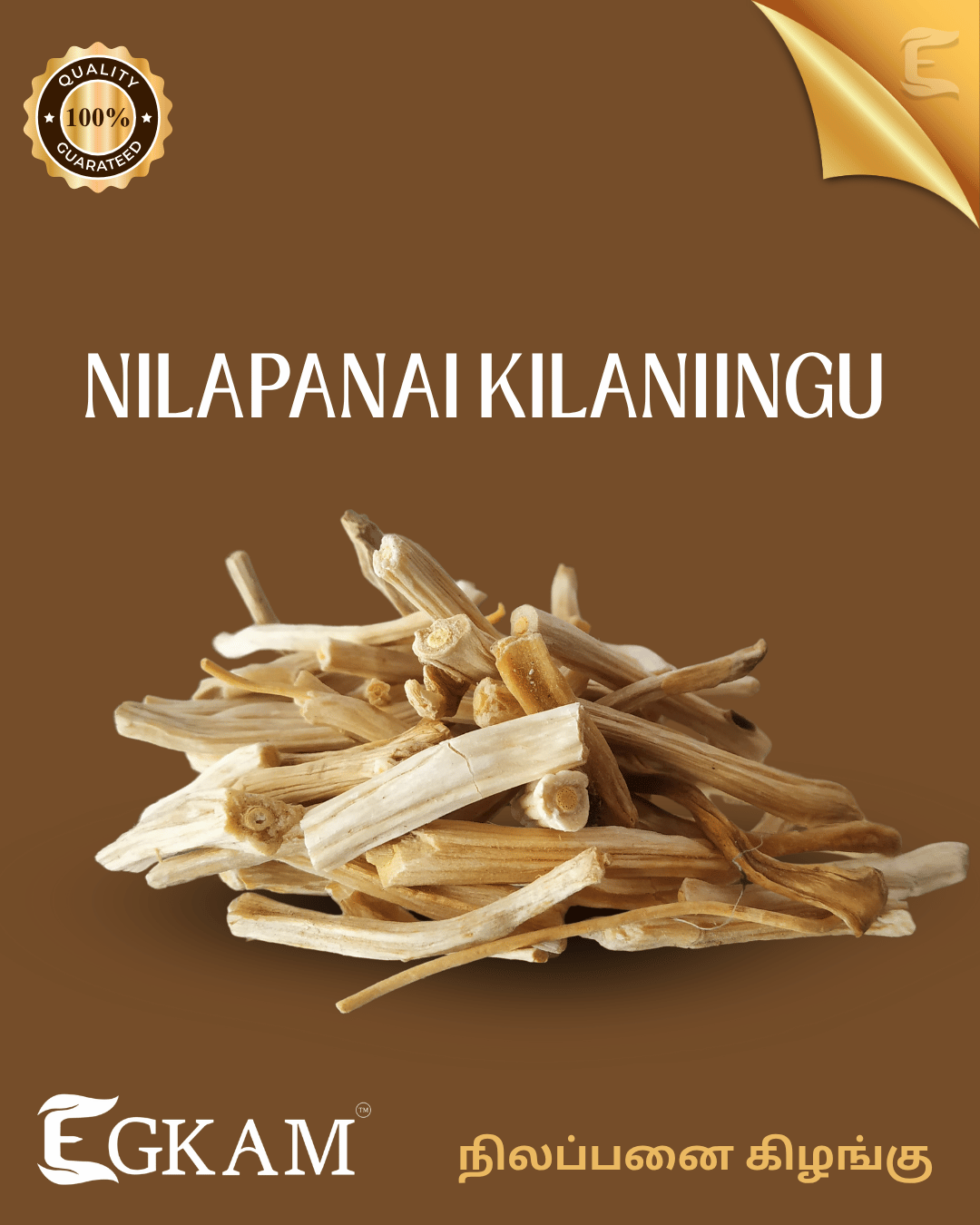 NILAPANAI KILANGU - Image 2