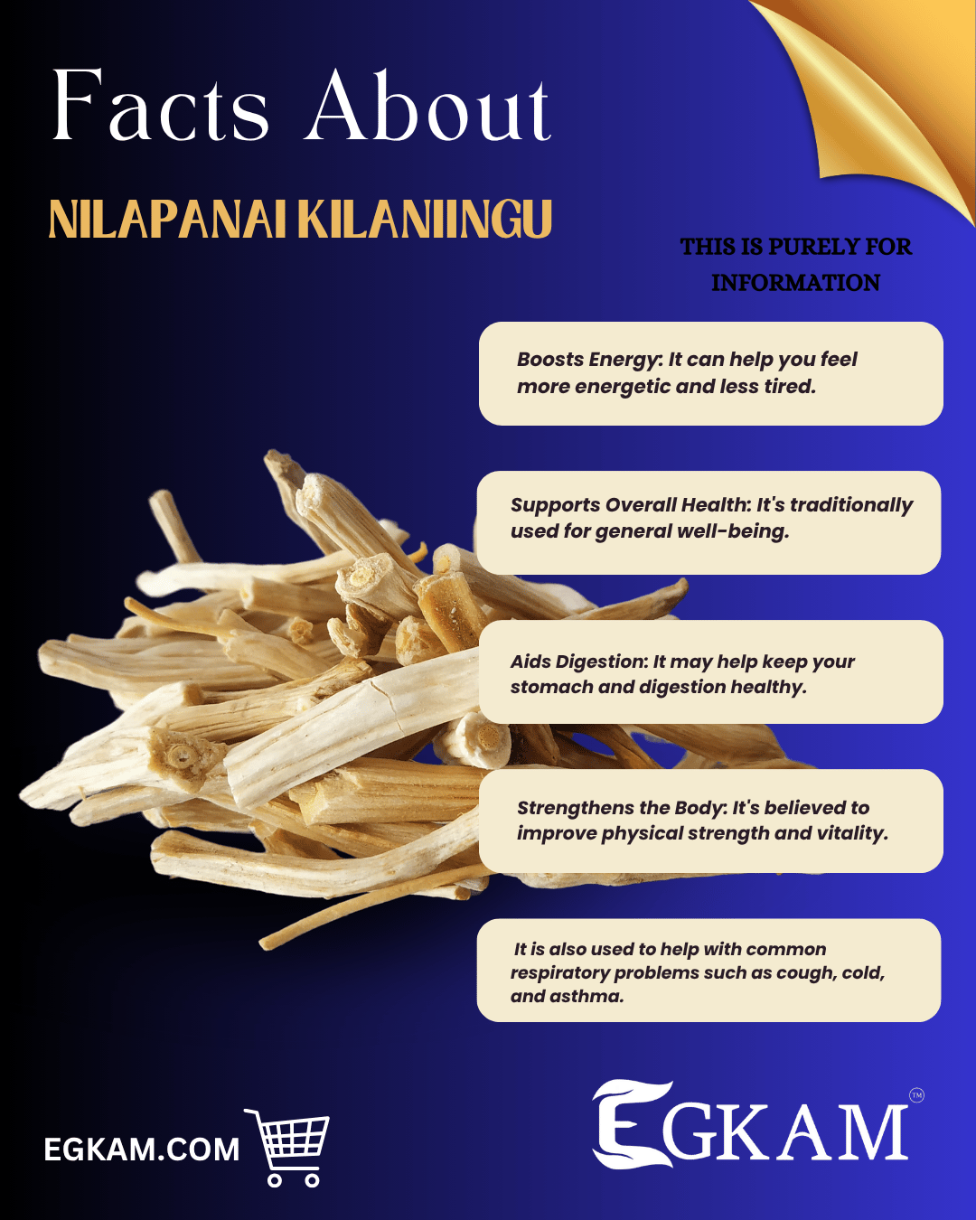 NILAPANAI KILANGU - Image 3