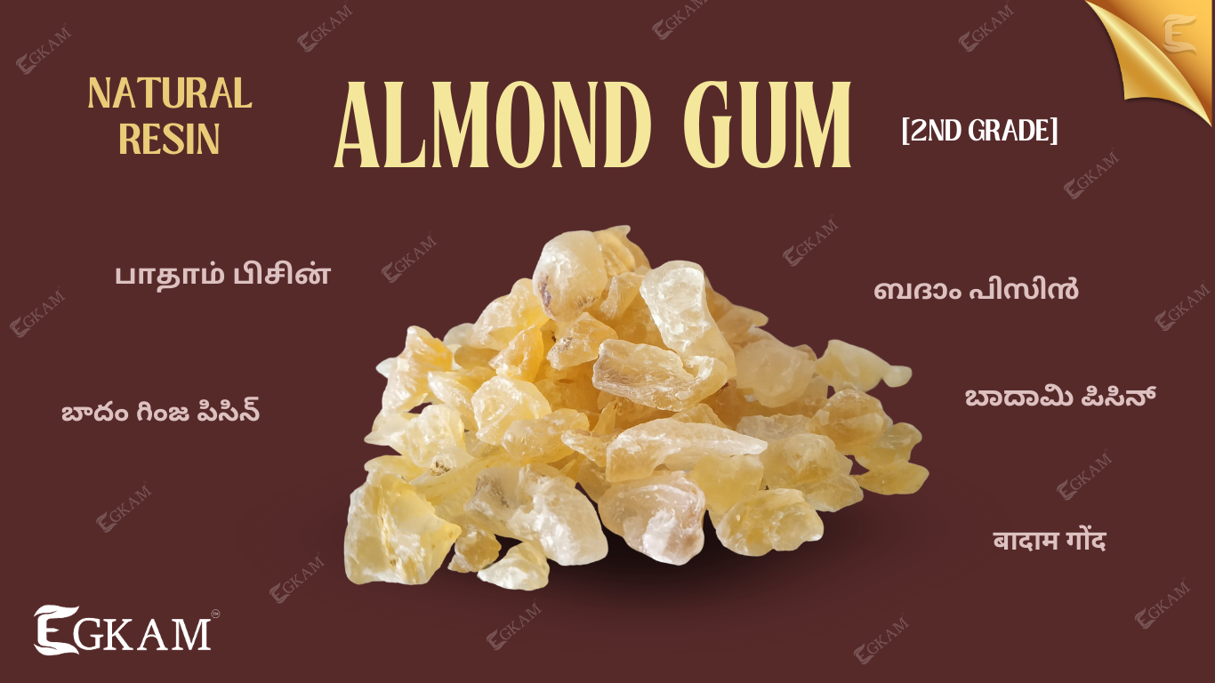 BADAM PISIN (or) ALMOND GUM [WHITE]