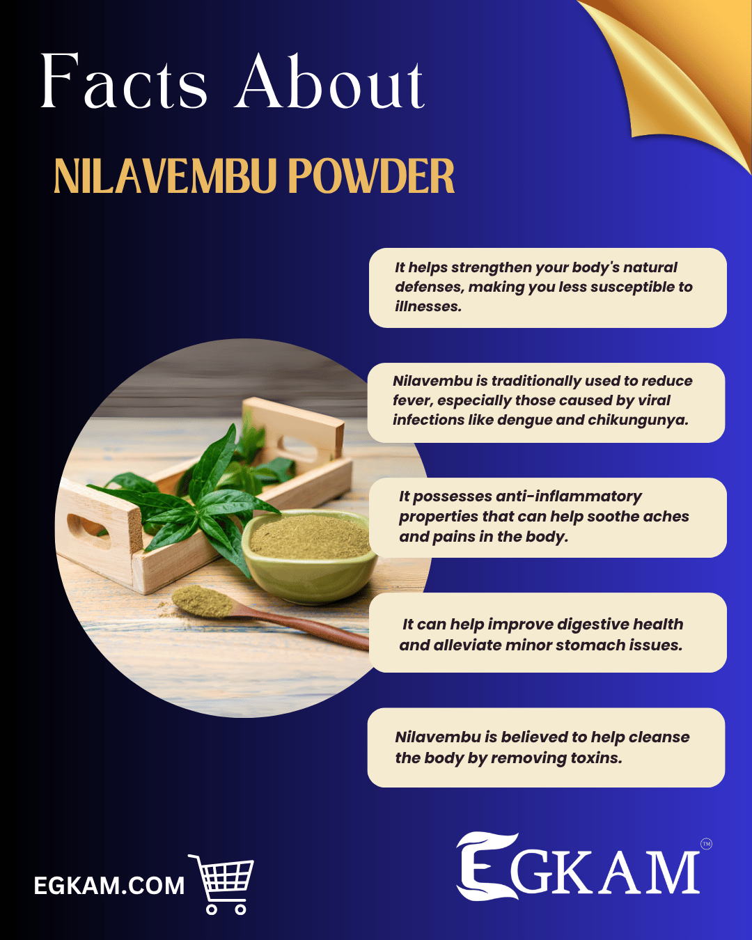 ROSE ESSENTIAL OIL - Image 3