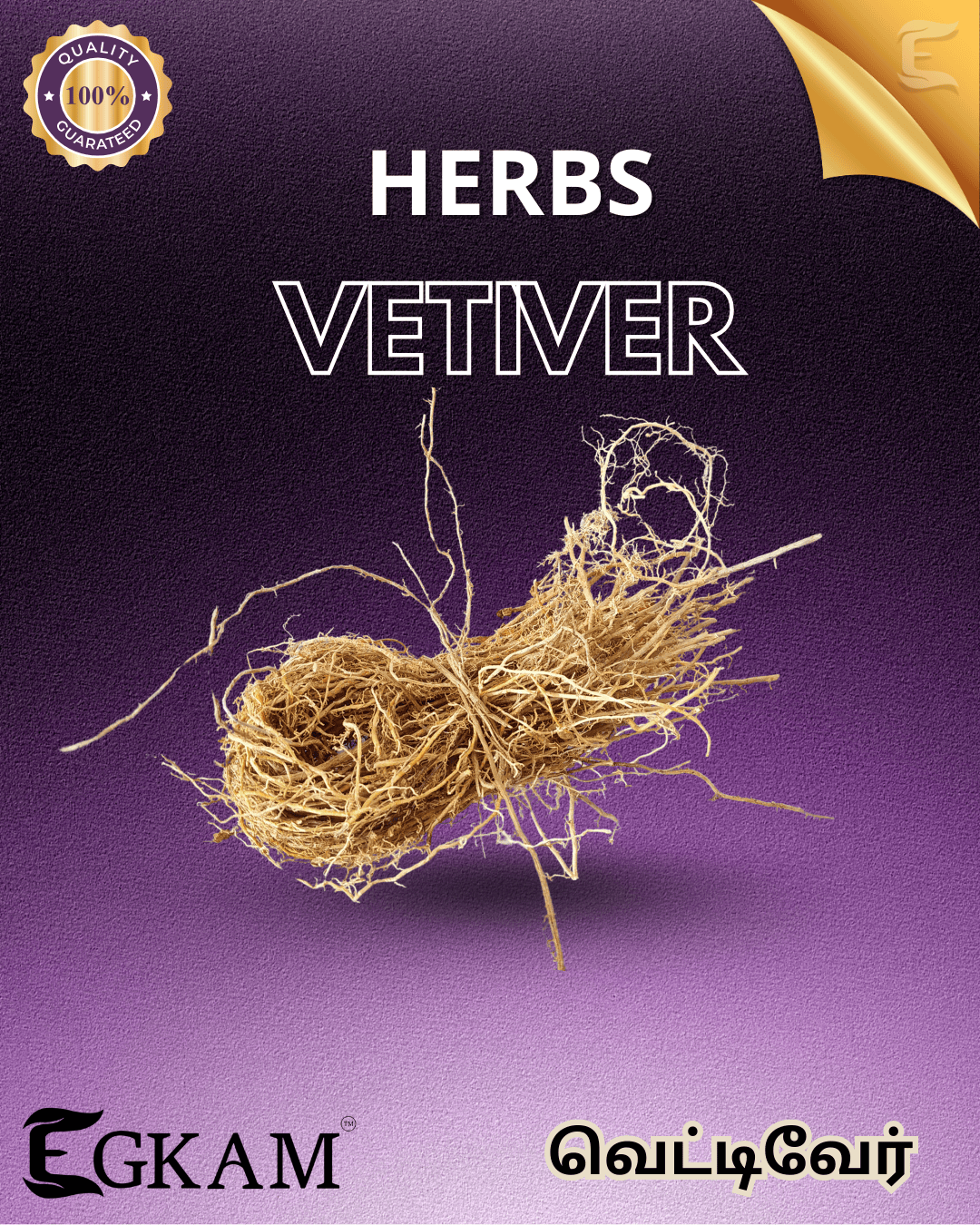 VETIVER - Image 2