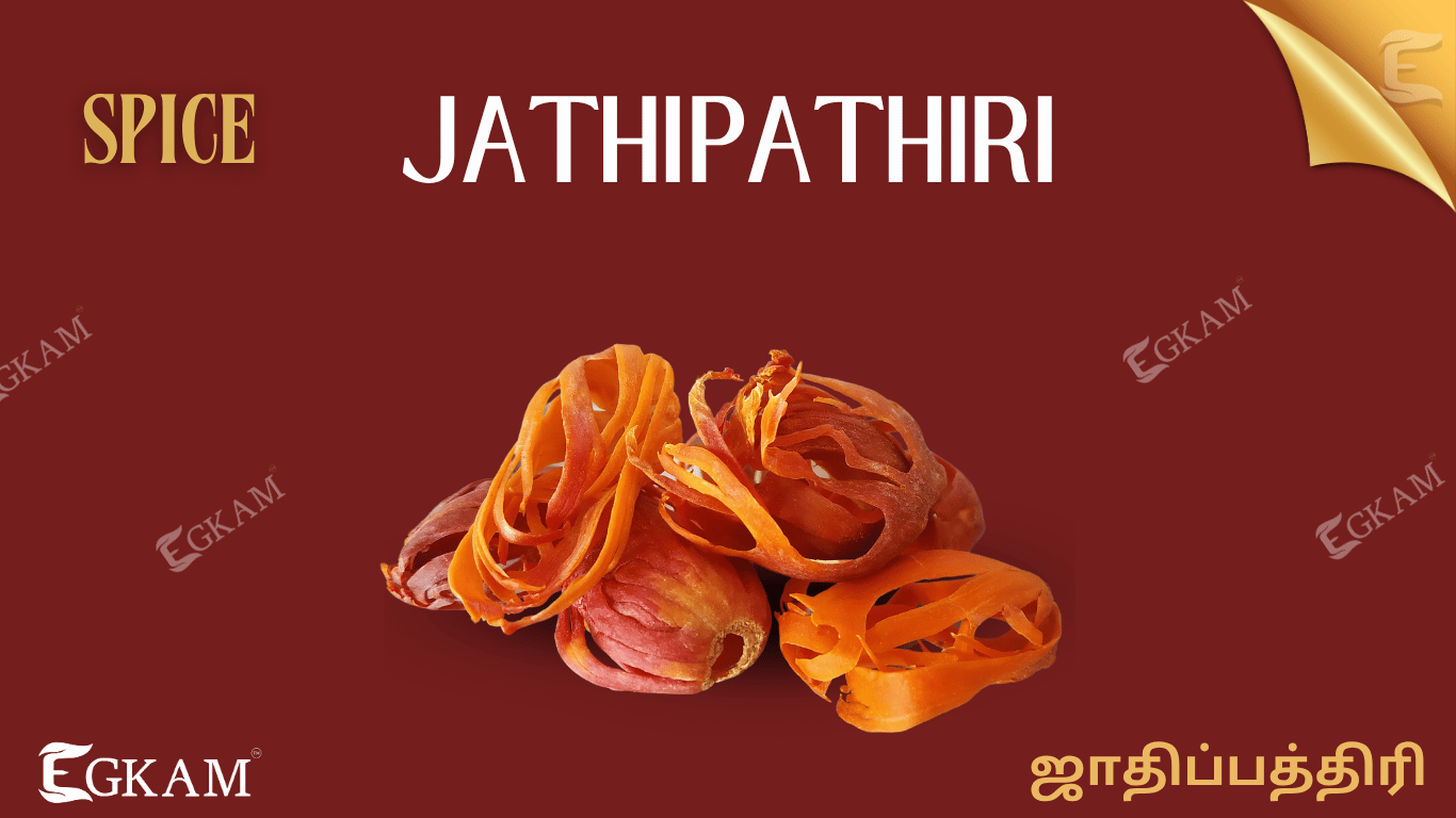 JATHI PATHTHRI (or) MACE FLOWER