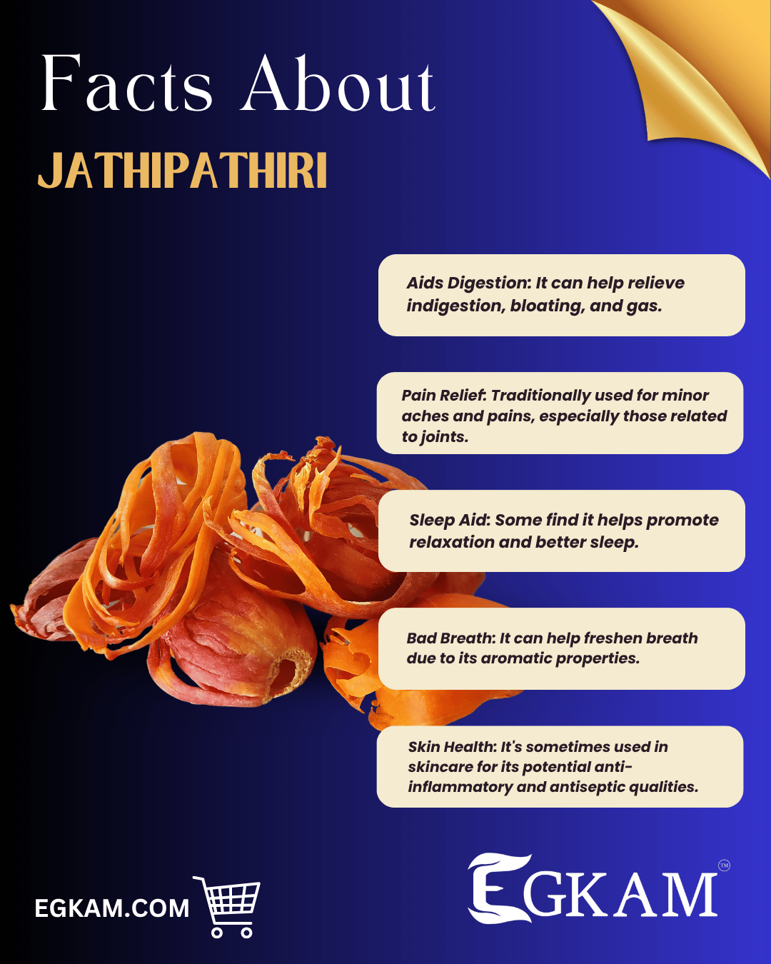 JATHI PATHTHRI (or) MACE FLOWER - Image 3