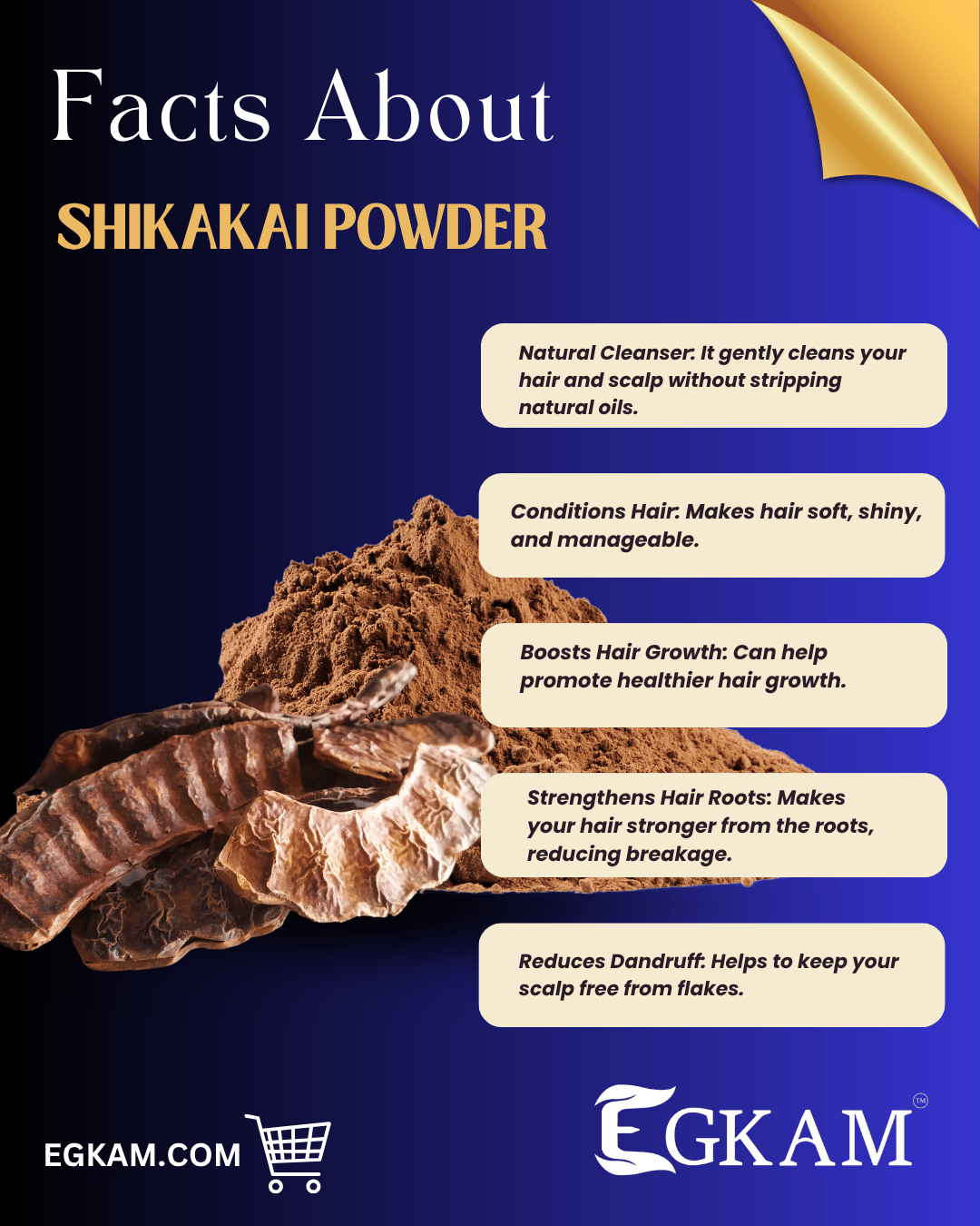 SHIKKAKAI  POWDER - Image 3
