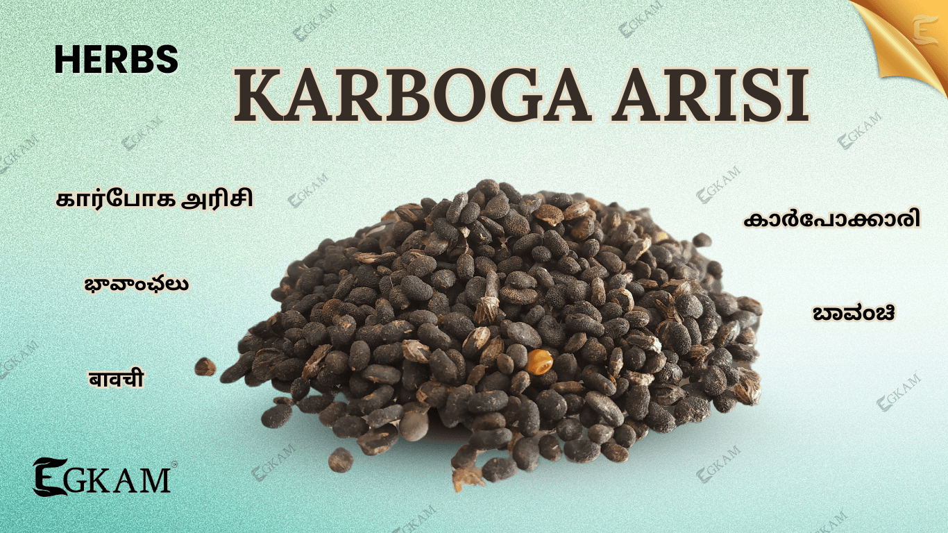KARBOGA ARISI