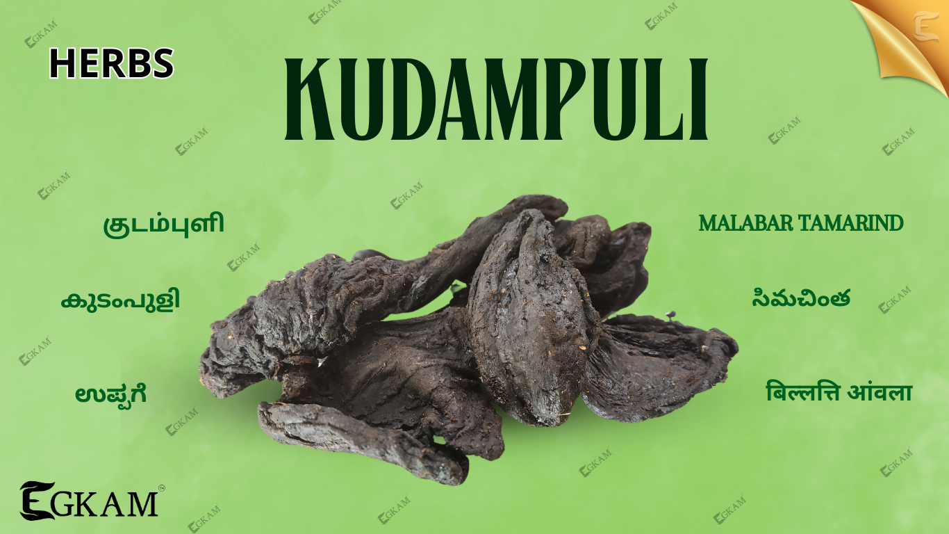 KUDAMPULI