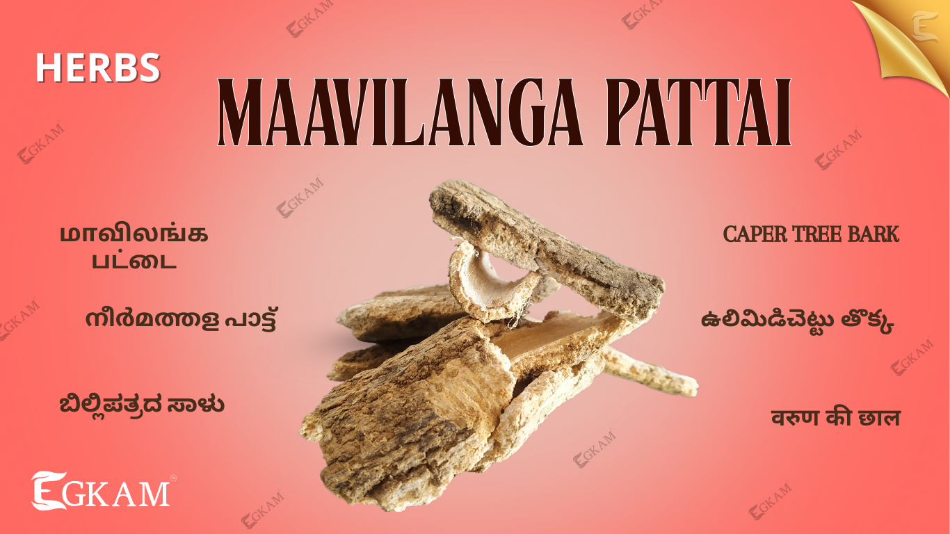 MAAVILANGA PATTAI
