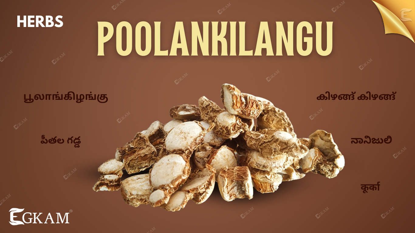POOLANKILANGU