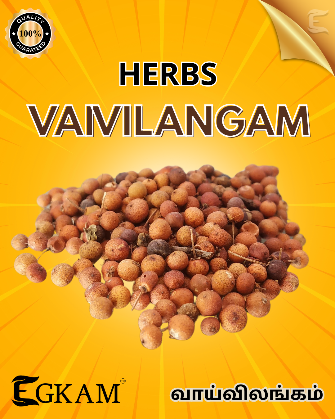 VAI VILANGAM - Image 2