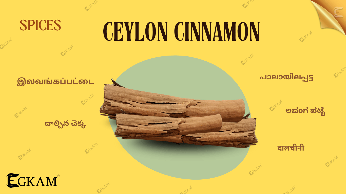  CINNAMOM CEYLON (OR) ILAVANGAPATTAI  [BIG]