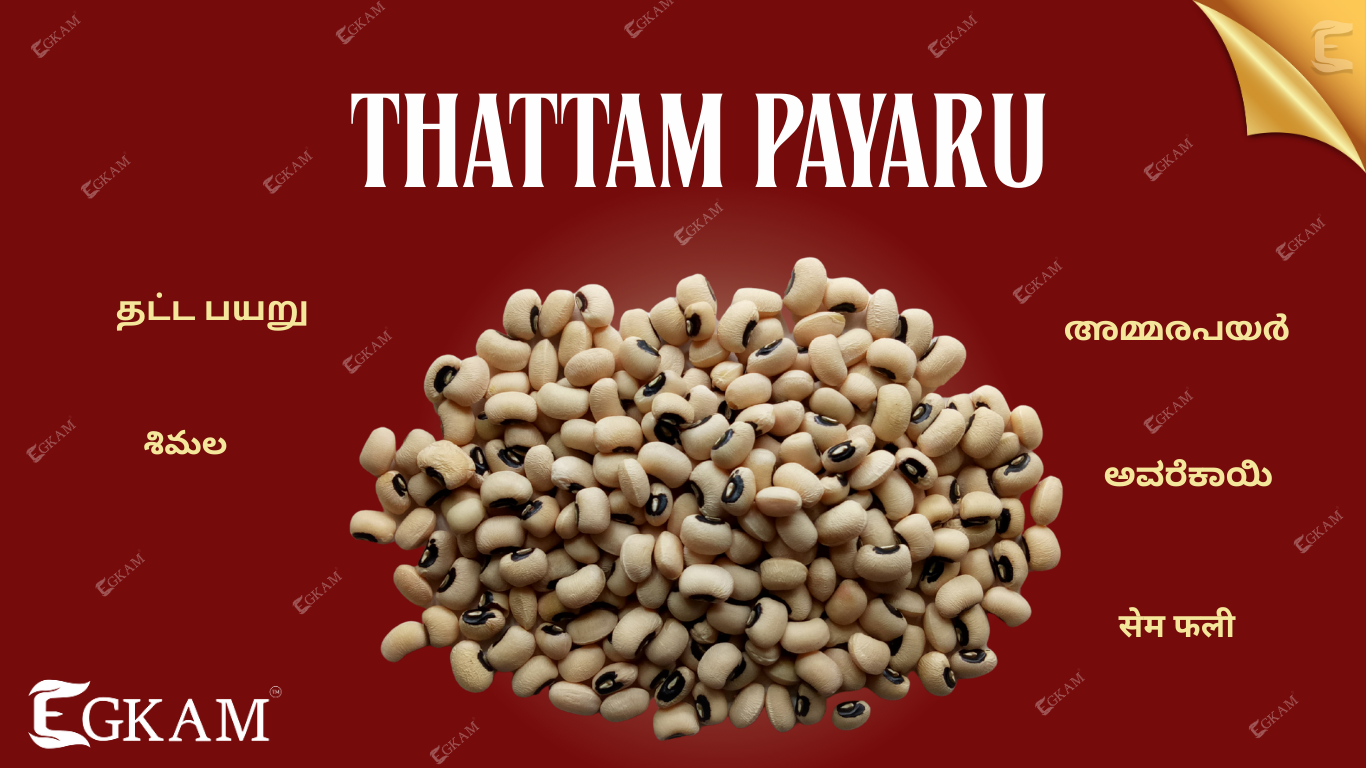 THATTAM PAYIRU (or) COWPEAS