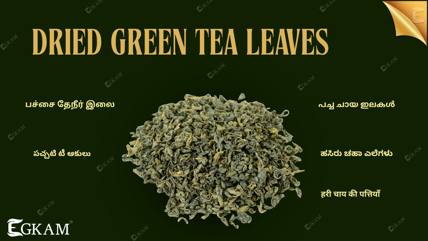 DRIED GREEN TEA LEAVES