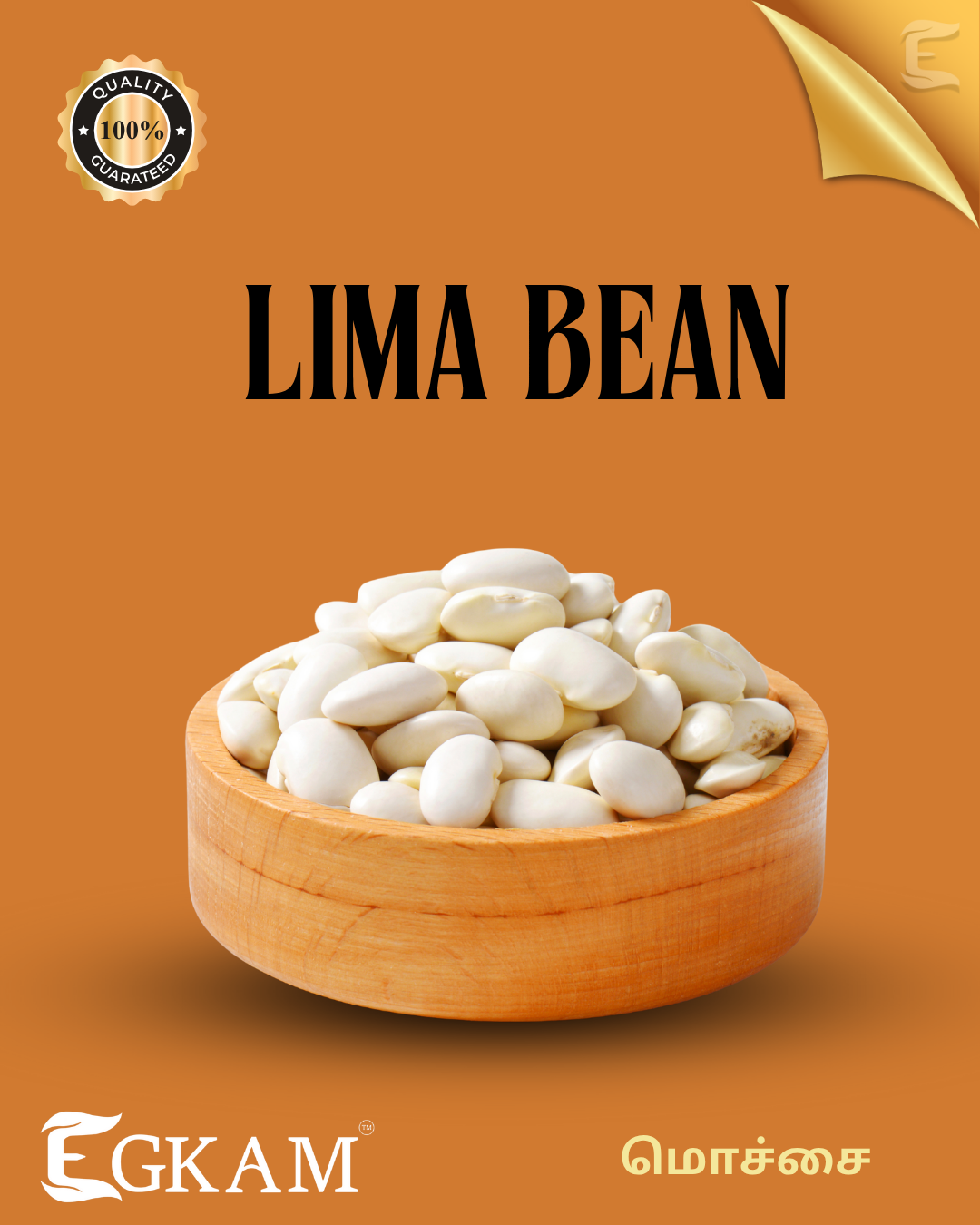VELLA MOCHA (or) WHITE LIMA BEAN  - Image 2