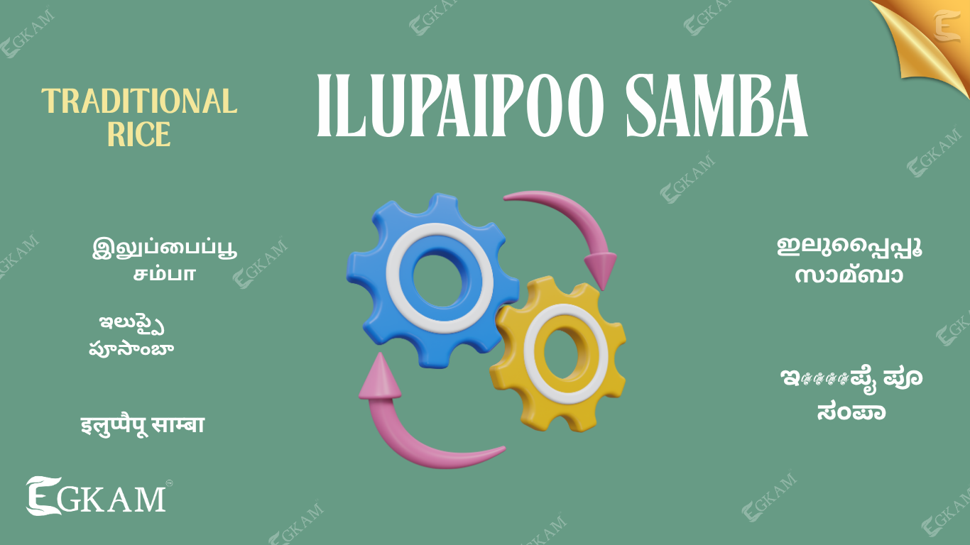 ILUPAIPOO SAMBHA ARISI (or) RICE 