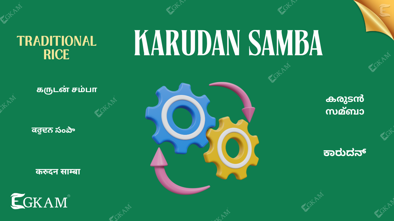 GARUDAN SAMBA ARISI (or) RICE 