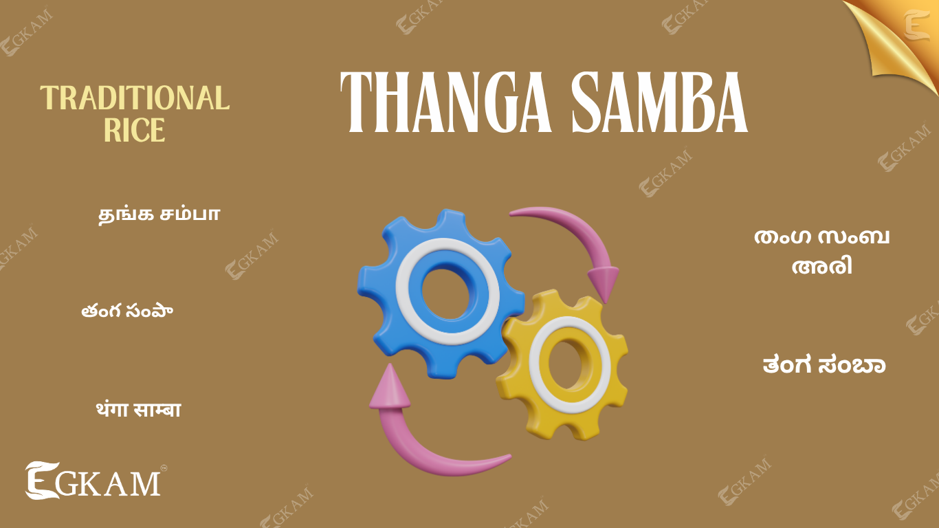 THANGA SAMBA ARISI (or) RICE 