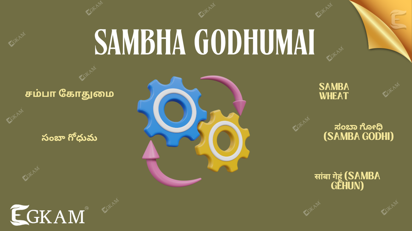 SAMBA GODHUMAI