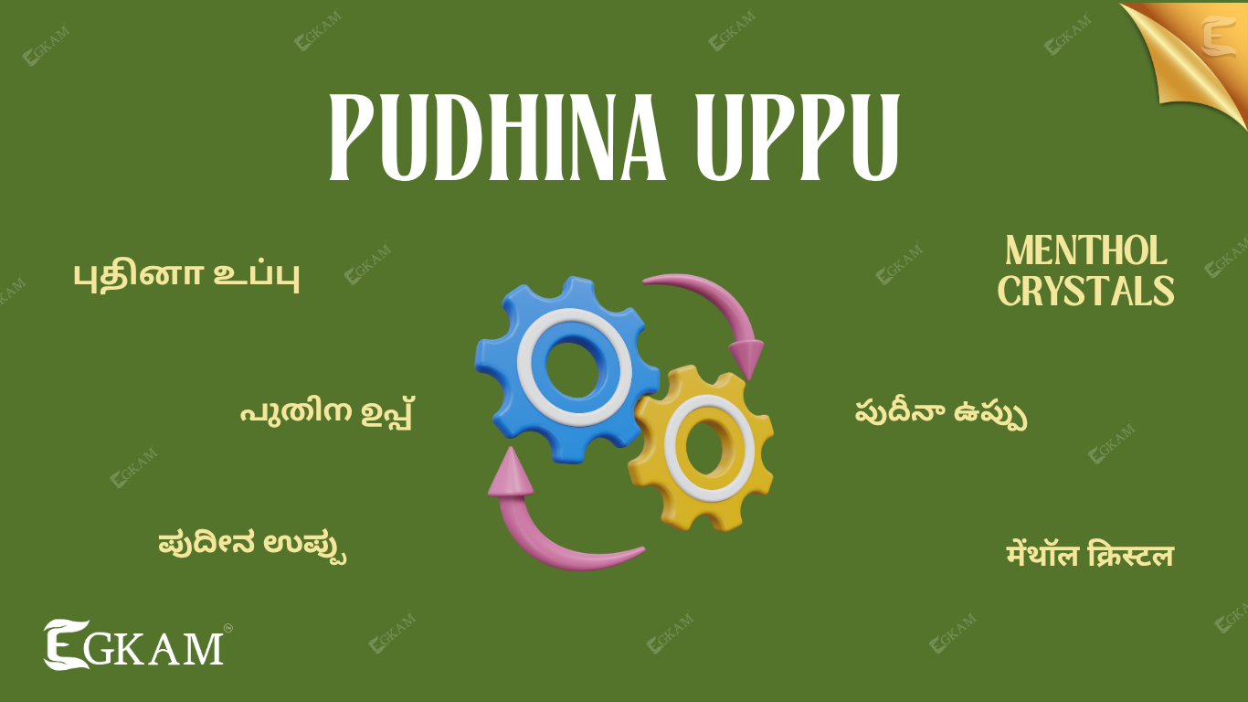 PUDHINA UPPU (OR) MENTHOL CRYSTAL 