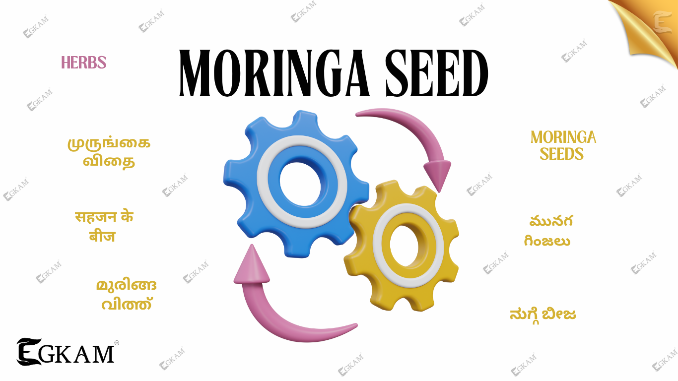 MORINGA SEED