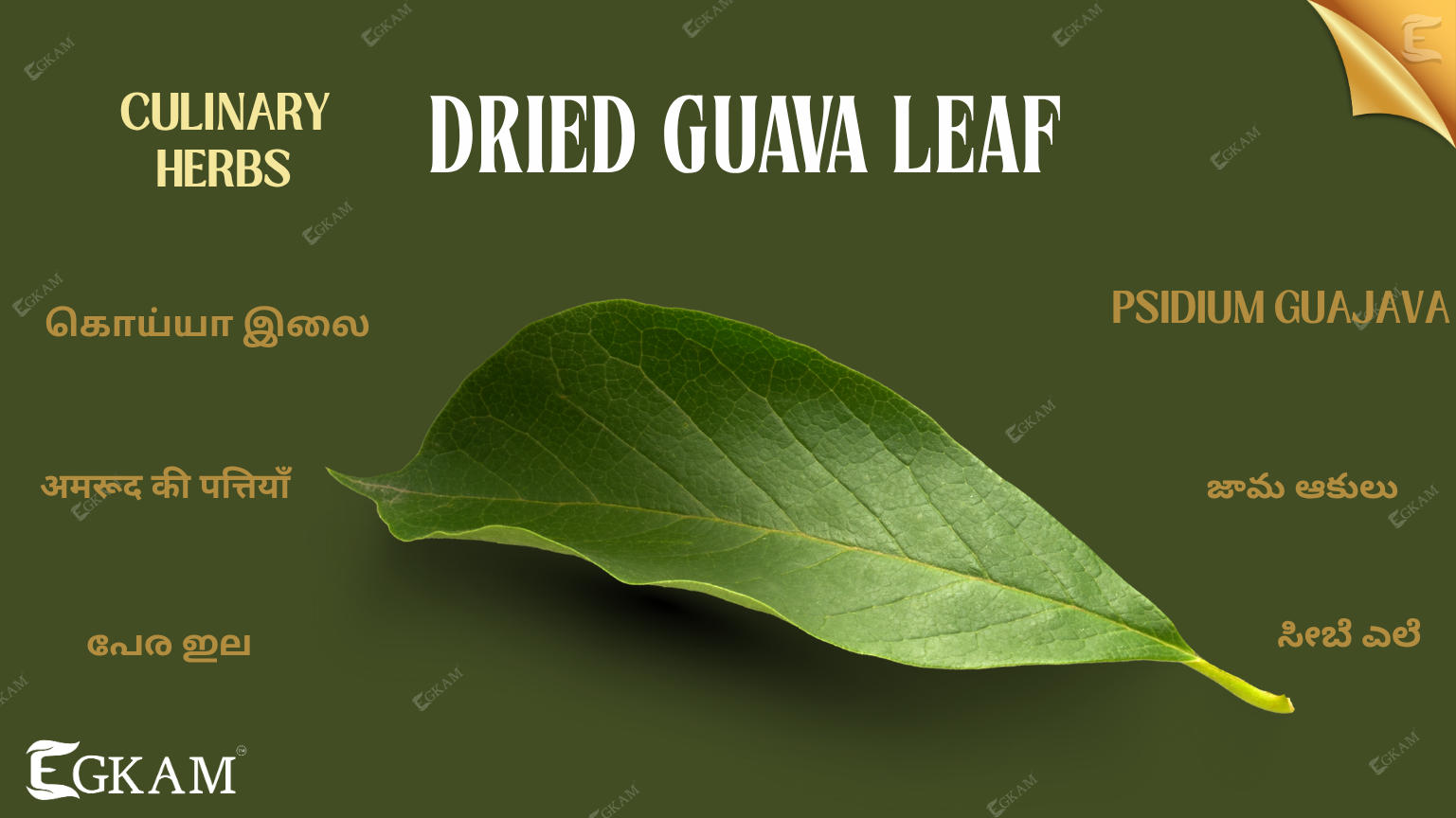 GUAVA LEAF DRIED 