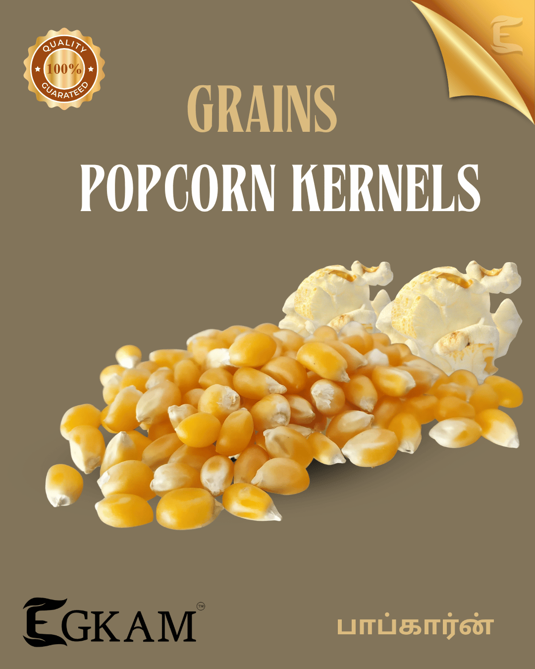POPCORN GRAIN (A GRADE) - Image 2