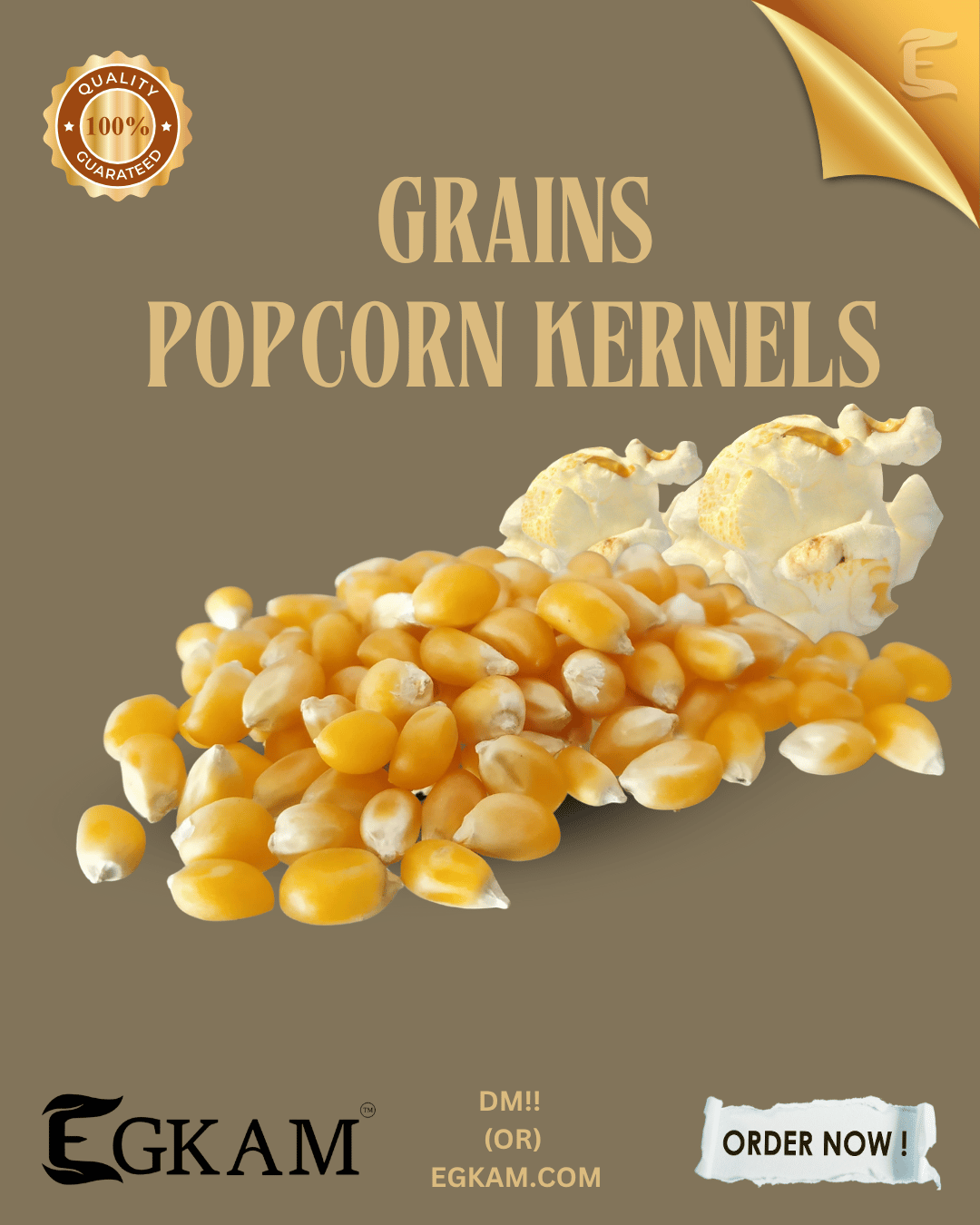 POPCORN GRAIN (A GRADE) - Image 3